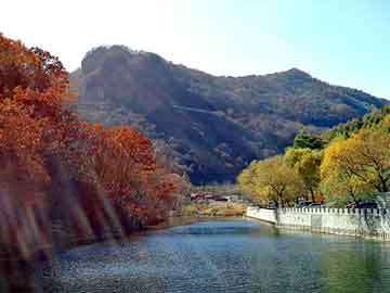 官方指南 - B体育解读历届世界杯夺冠热门之路,历届世界杯冠军百科