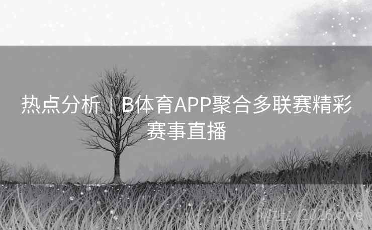 热点分析|B体育APP聚合多联赛精彩赛事直播