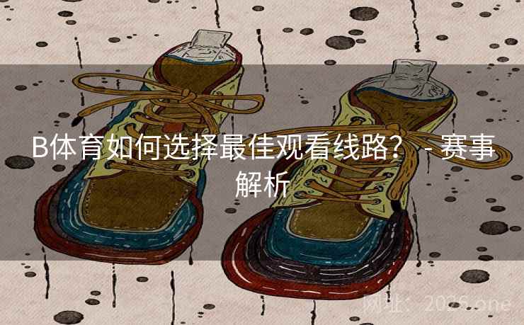 B体育如何选择最佳观看线路？ - 赛事解析