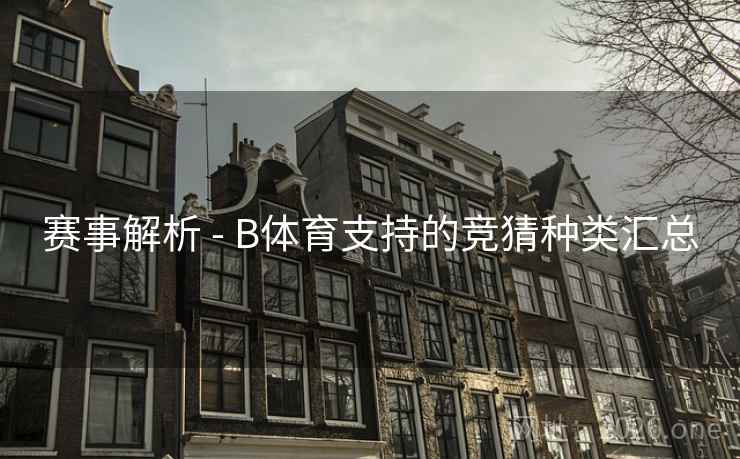 赛事解析 - B体育支持的竞猜种类汇总