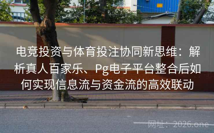 电竞投资与体育投注协同新思维:解析真人百家乐、Pg电子平台整合后如何实现信息流与资金流的高效联动