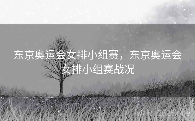 东京奥运会女排小组赛,东京奥运会女排小组赛战况