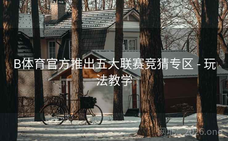 B体育官方推出五大联赛竞猜专区 - 玩法教学