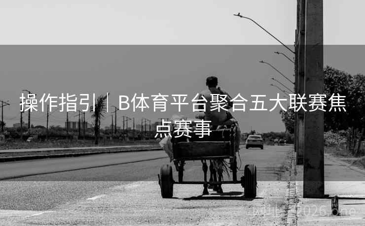 操作指引|B体育平台聚合五大联赛焦点赛事