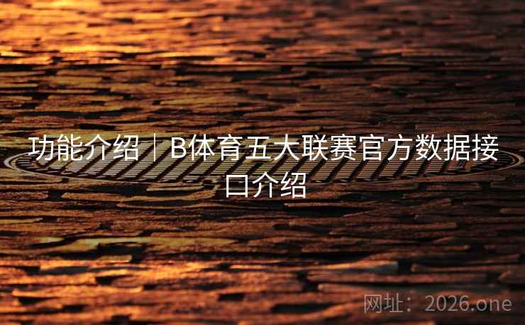 功能介绍|B体育五大联赛官方数据接口介绍