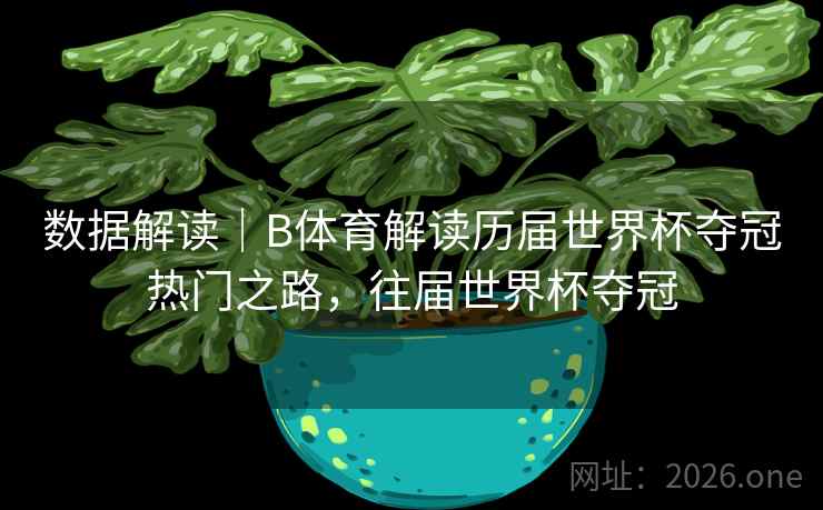 数据解读|B体育解读历届世界杯夺冠热门之路,往届世界杯夺冠