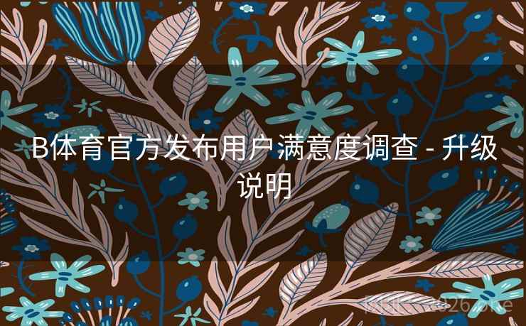 B体育官方发布用户满意度调查 - 升级说明