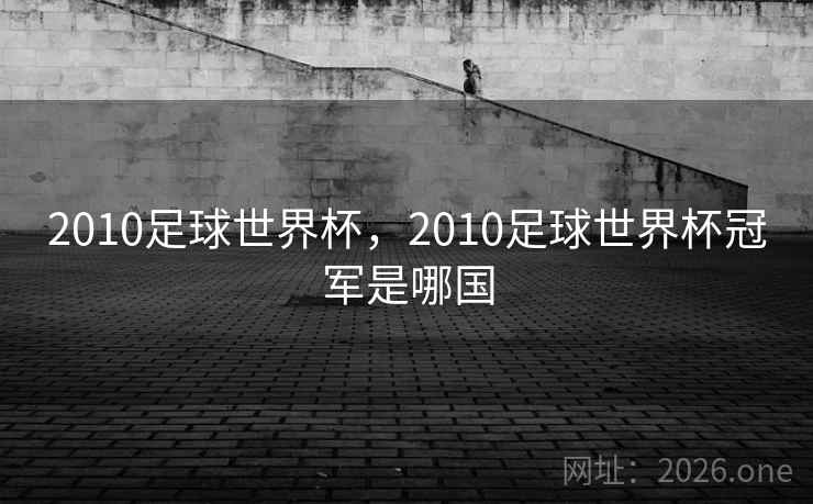 2010足球世界杯，2010足球世界杯冠军是哪国