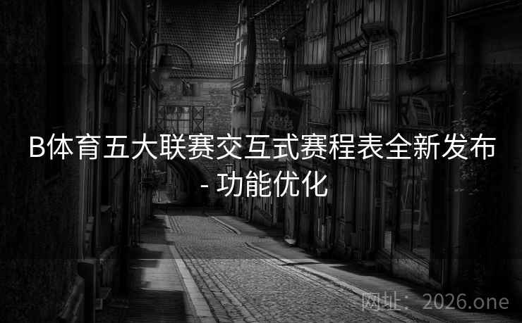 B体育五大联赛交互式赛程表全新发布 - 功能优化